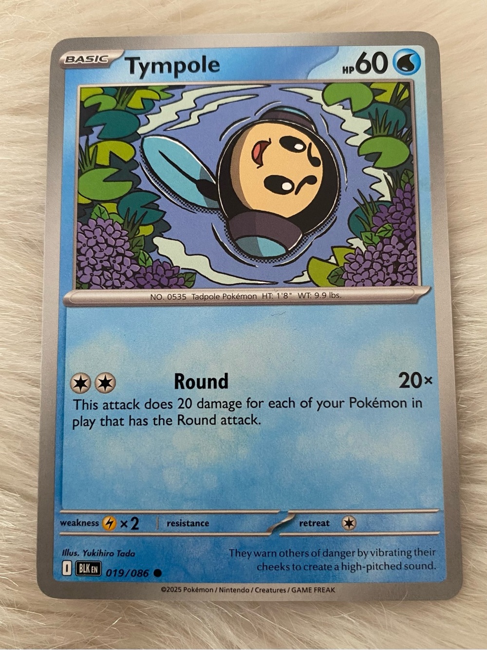 Tympole Pokémon TCG Black Bolt 019/086